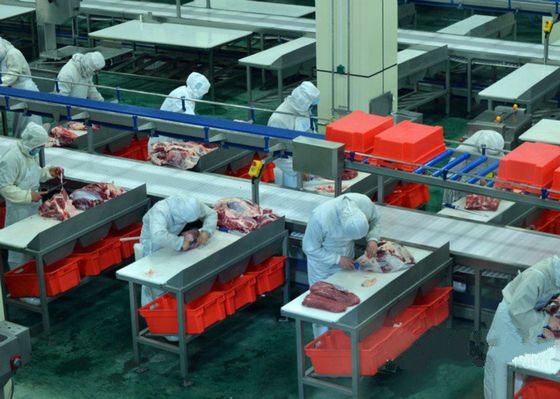 Китай Разделенные говядиной скотины линии/технологической линии 100-300 производства мяса в час быстро проходят поставщик