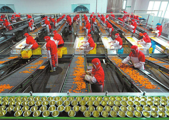 Китай Пластиковая производственная линия консервов чашки, обрабатывающее оборудование фрукта и овоща поставщик