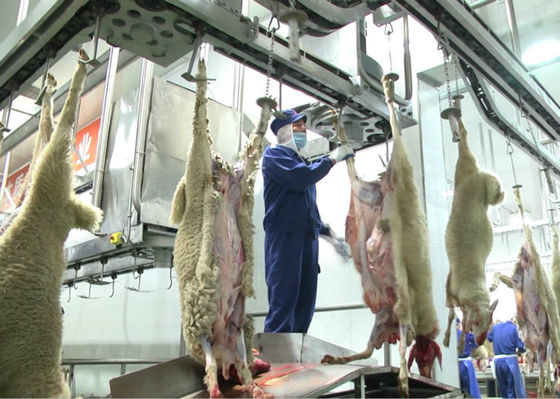 Китай Разделенная овечкой линия производства мяса, линия промышленного производства дальнейшая обработка поставщик