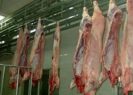 Китай Разделенная свининой система управления ПЛК оборудования скотобойни производственной линии мяса домашней птицы  поставщик
