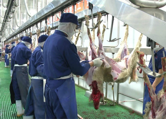 Китай Линия производства мяса убой козы разделенная бараниной транспортируя весь обрабатывая тип поставщик
