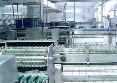 Китай Стекло разлило производственную линию по бутылкам молока грецкого ореха/арахиса обрабатывающего оборудования напитка поставщик