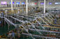 Автоматизированный кирпич - сформируйте упакованную производственную линию молокозавода для чистого/, который воспроизвело молока поставщик
