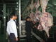 Разделенные говядиной скотины линии/технологической линии 100-300 производства мяса в час быстро проходят поставщик