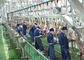 Разделенная овечкой линия производства мяса, линия промышленного производства дальнейшая обработка поставщик