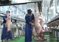 Разделенная овечкой линия производства мяса, линия промышленного производства дальнейшая обработка поставщик