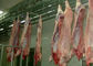 Разделенная свининой система управления ПЛК оборудования скотобойни производственной линии мяса домашней птицы  поставщик