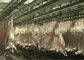 Линия производства мяса убой козы разделенная бараниной транспортируя весь обрабатывая тип поставщик